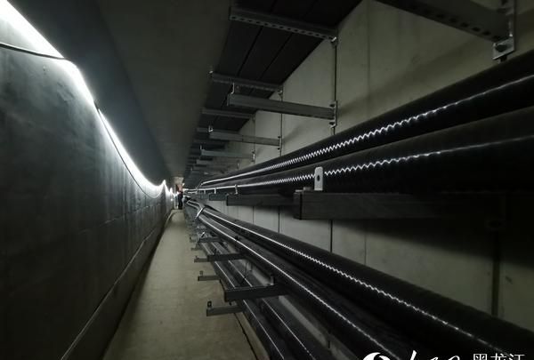 高架输电线路“入地”哈尔滨将建成首条高寒地区智能化电隧道