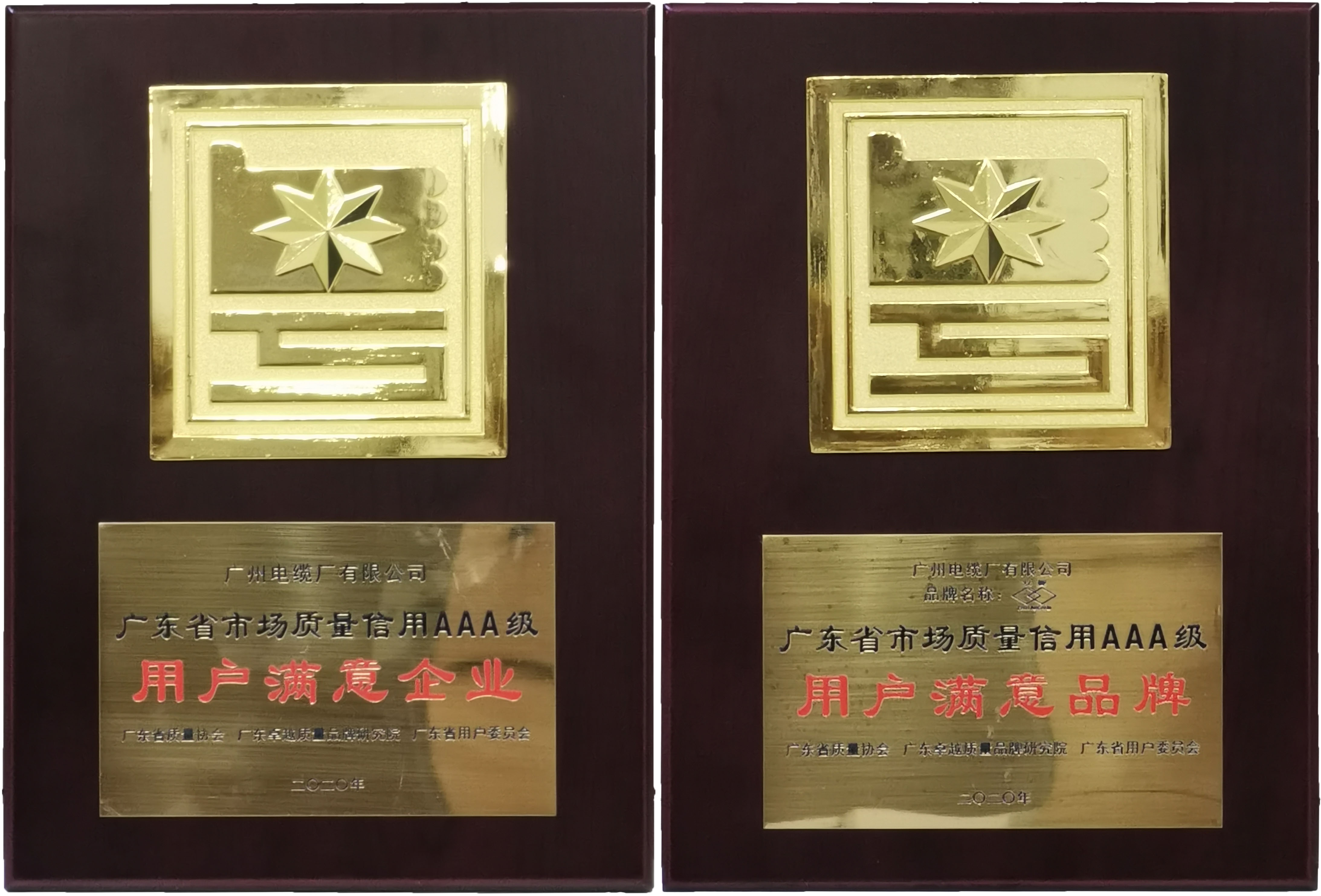 广州电缆接受广东省市场质量信用AAA级用户满意企业和品牌荣誉奖牌