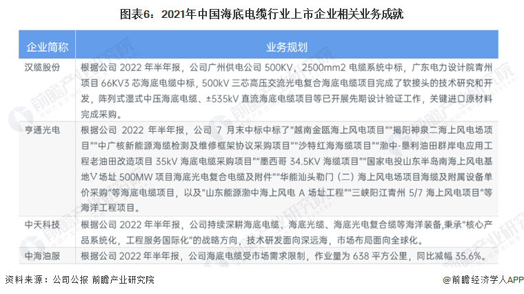 图表6：2021年中国海底电缆行业上市企业相关业务成就