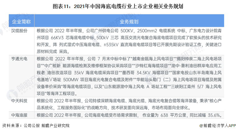 图表11：2021年中国海底电缆行业上市企业相关业务规划